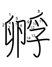Thứ tự nét chữ 孵