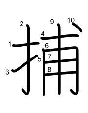 Thứ tự nét chữ 捕