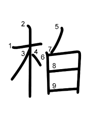 Thứ tự nét chữ 柏