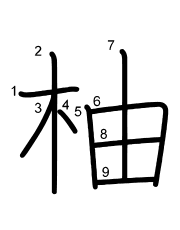 Thứ tự nét chữ 柚