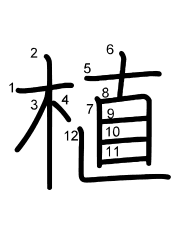 Thứ tự nét chữ 植