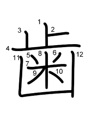 Thứ tự nét chữ 歯