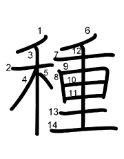 Thứ tự nét chữ 種