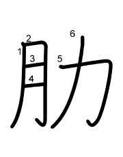 Thứ tự nét chữ 肋