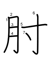 Thứ tự nét chữ 肘