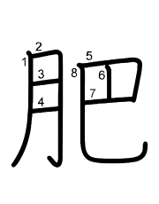 Thứ tự nét chữ 肥