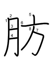 Thứ tự nét chữ 肪