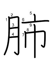 Thứ tự nét chữ 肺