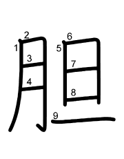 Thứ tự nét chữ 胆