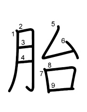 Thứ tự nét chữ 胎