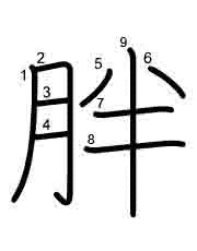 Thứ tự nét chữ 胖