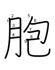 Thứ tự nét chữ 胞