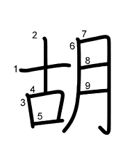 Thứ tự nét chữ 胡