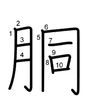Thứ tự nét chữ 胴