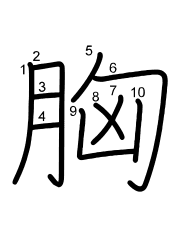 Thứ tự nét chữ 胸