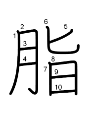 Thứ tự nét chữ 脂