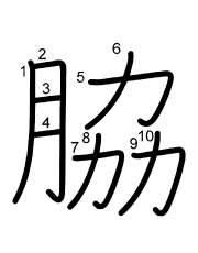 Thứ tự nét chữ 脇