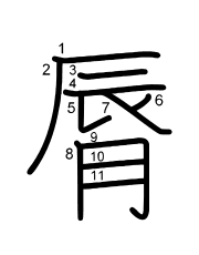 Thứ tự nét chữ 脣