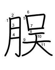 Thứ tự nét chữ 脵