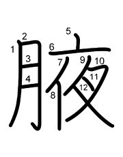 Thứ tự nét chữ 腋
