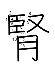 Thứ tự nét chữ 腎