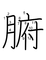 Thứ tự nét chữ 腑