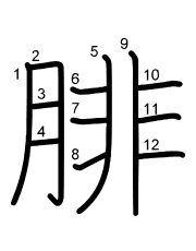 Thứ tự nét chữ 腓