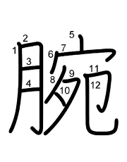Thứ tự nét chữ 腕
