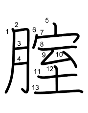 Thứ tự nét chữ 腟