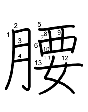 Thứ tự nét chữ 腰