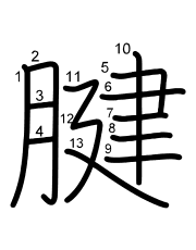 Thứ tự nét chữ 腱