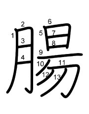 Thứ tự nét chữ 腸