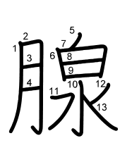 Thứ tự nét chữ 腺