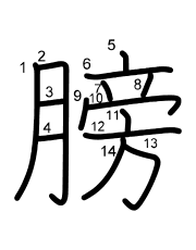 Thứ tự nét chữ 膀