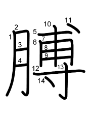 Thứ tự nét chữ 膊