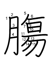 Thứ tự nét chữ 膓