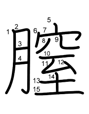 Thứ tự nét chữ 膣