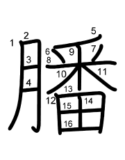 Thứ tự nét chữ 膰