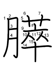 Thứ tự nét chữ 膵