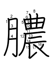 Thứ tự nét chữ 膿
