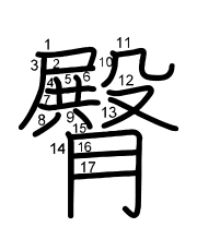 Thứ tự nét chữ 臀