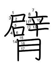 Thứ tự nét chữ 臂