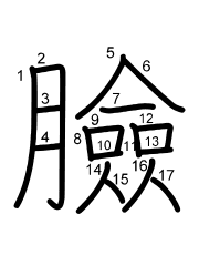 Thứ tự nét chữ 臉