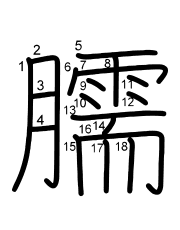 Thứ tự nét chữ 臑
