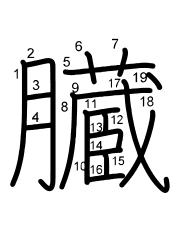 Thứ tự nét chữ 臓