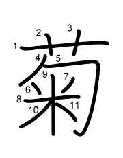 Thứ tự nét chữ 菊