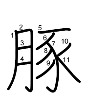 Thứ tự nét chữ 豚