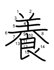 Thứ tự nét chữ 養
