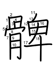 Thứ tự nét chữ 髀