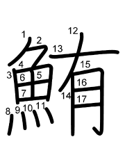 Thứ tự nét chữ 鮪